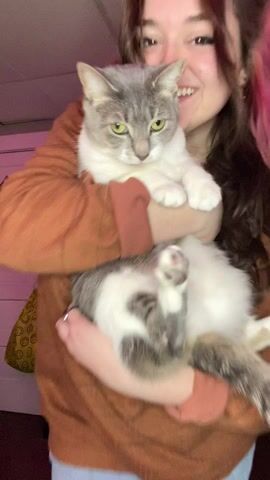 What do you think of my “pussy” reveal? :D