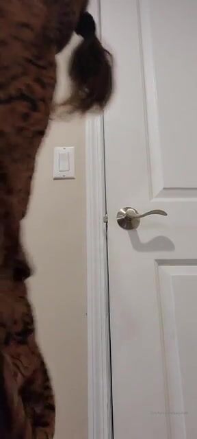 Asking for backshots